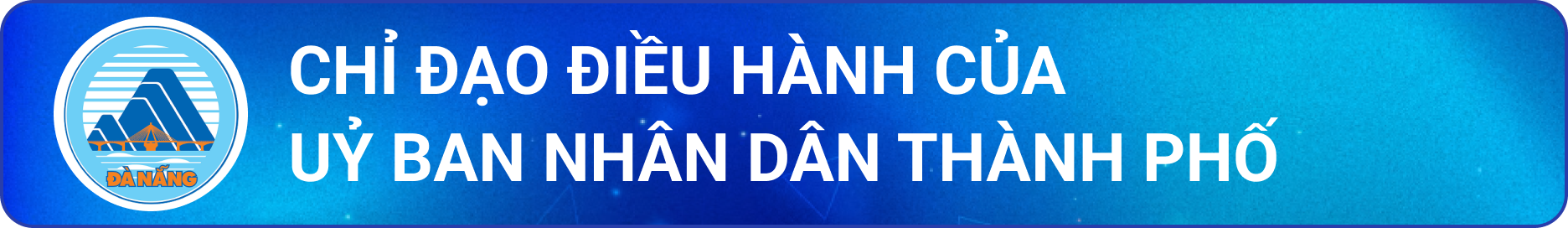 Chi dao dieu hanh ubnd TP